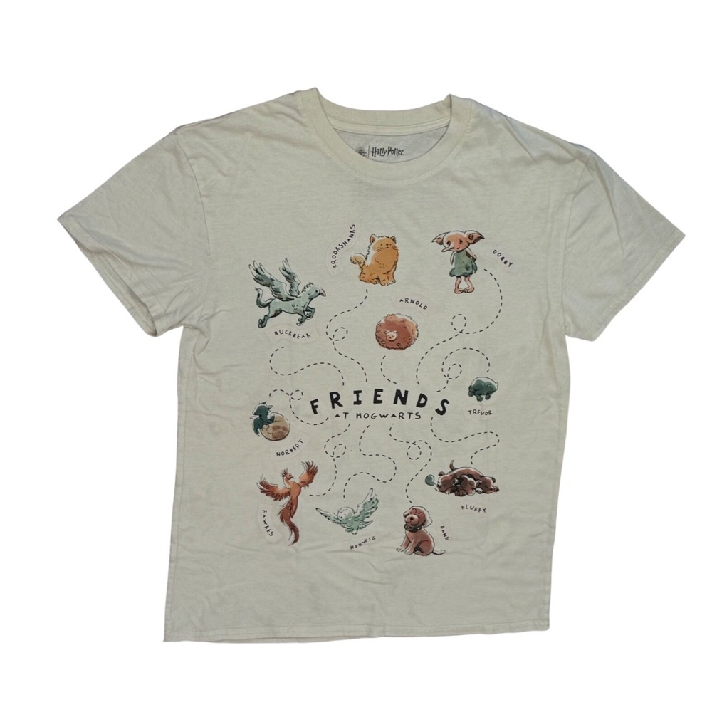 Harry Potter Friends at Hogwarts Graphic T-Shirt, Medium